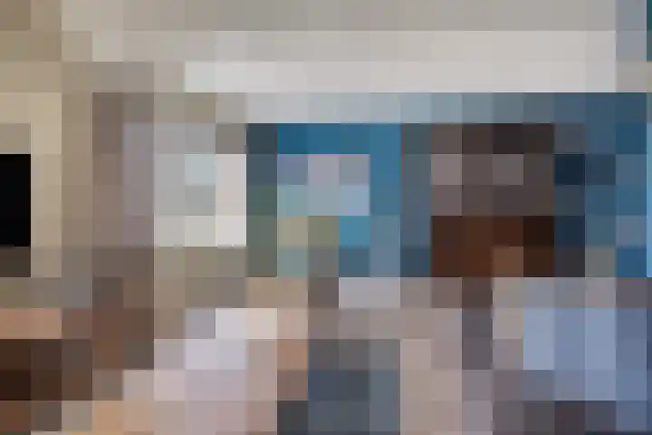 Buidelmees 72 Emmen thumbnail 7