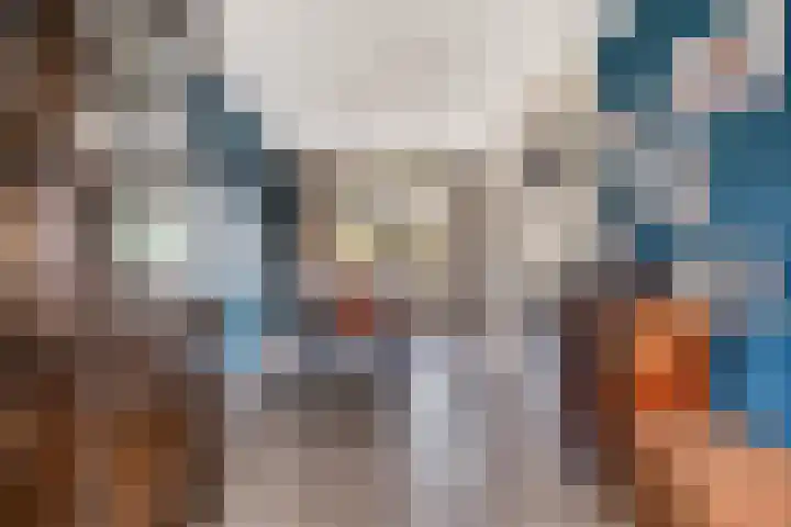 Buidelmees 72 Emmen thumbnail 8