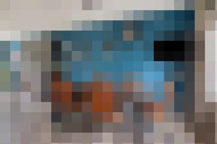 Buidelmees 72 Emmen thumbnail 9