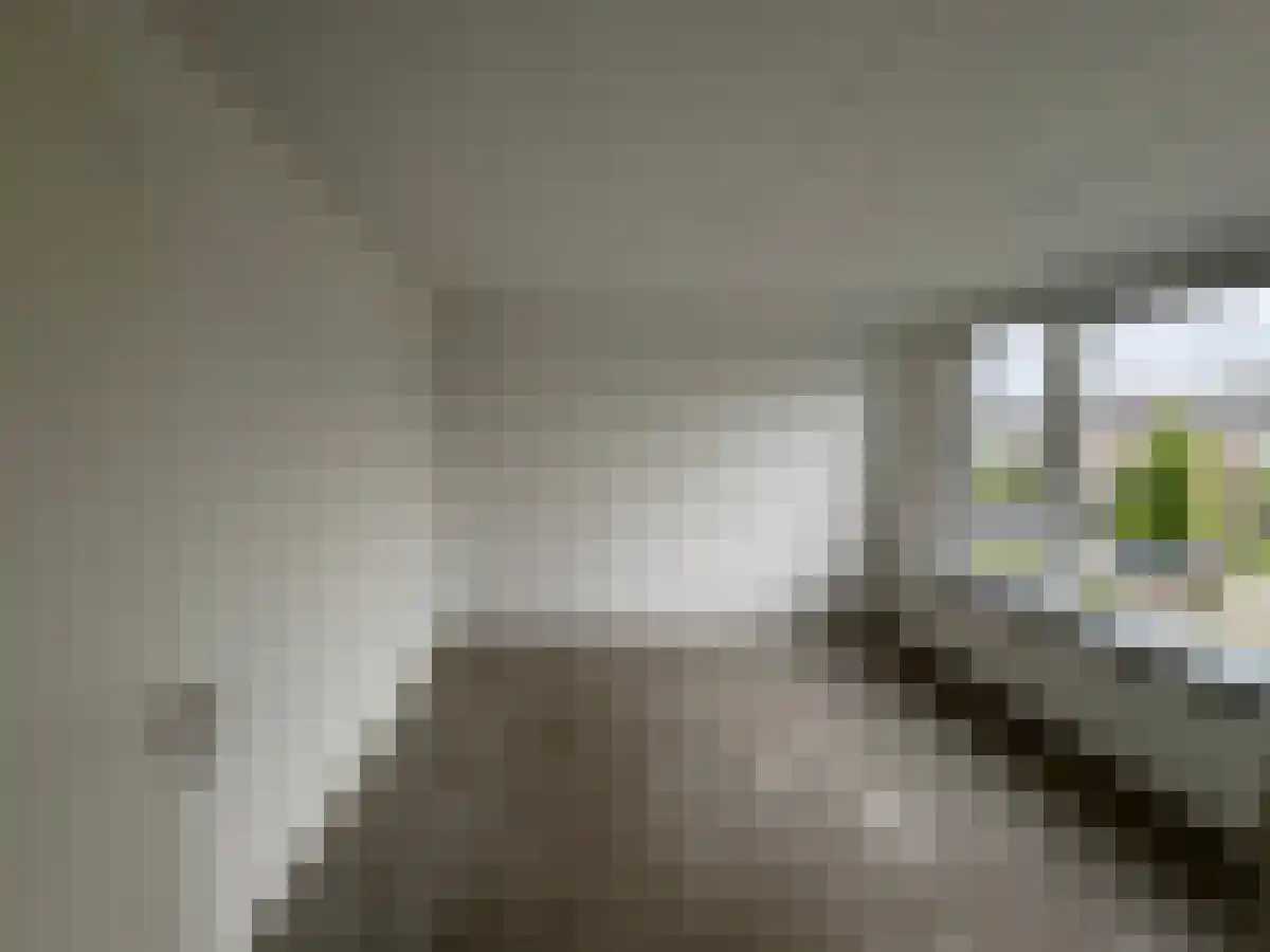 Buidelnet 10 Hoogvliet Rotterdam thumbnail 4