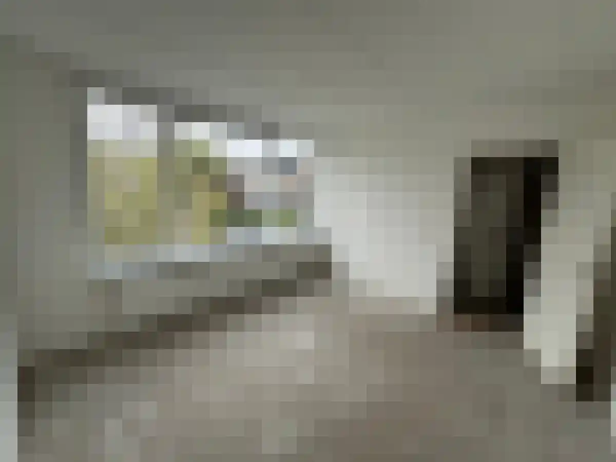Buidelnet 10 Hoogvliet Rotterdam thumbnail 5