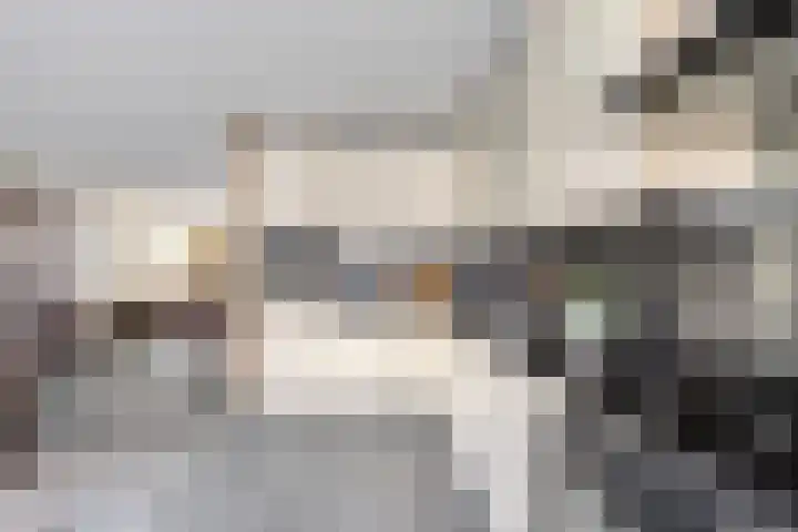 Buigeind 5 Best thumbnail 13