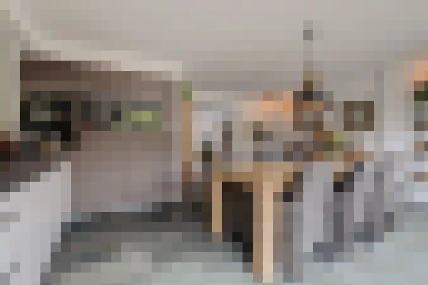 Buigeind 7 Best thumbnail 11