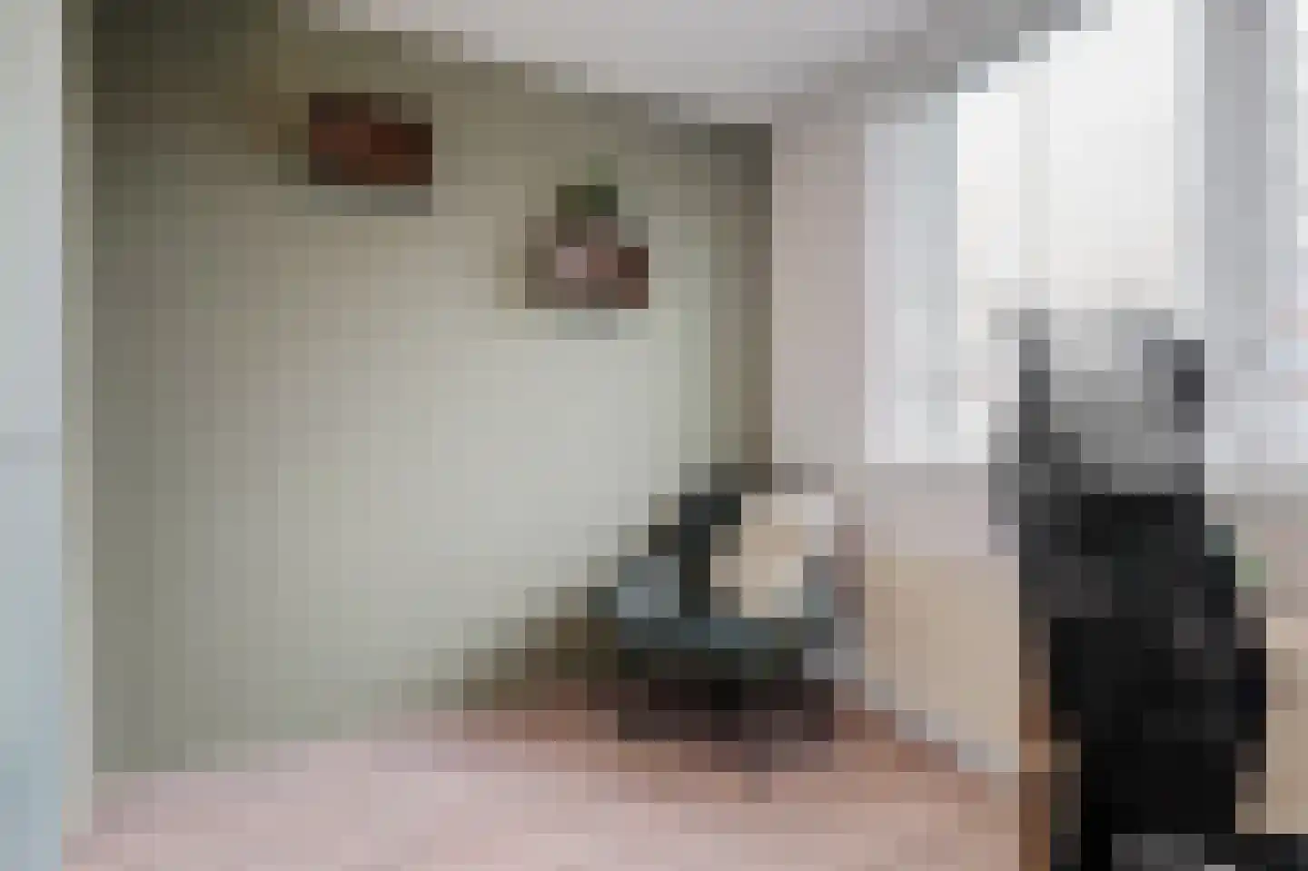 Buigeind 7 Best thumbnail 27