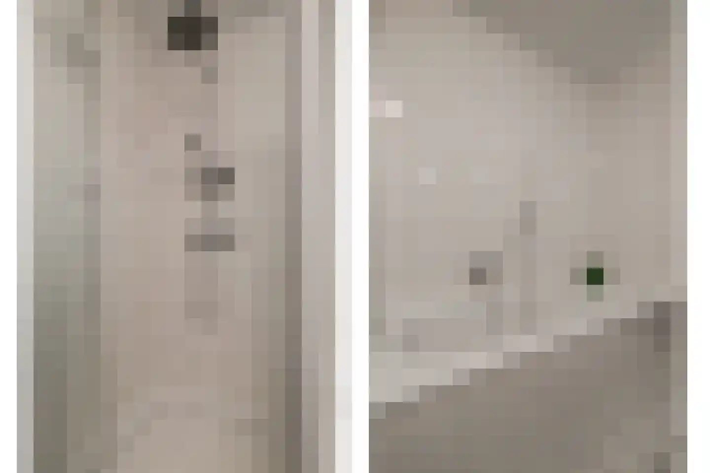 Buigeind 7 Best thumbnail 34