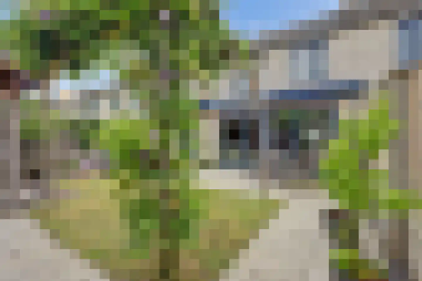 Buigeind 7 Best thumbnail 46