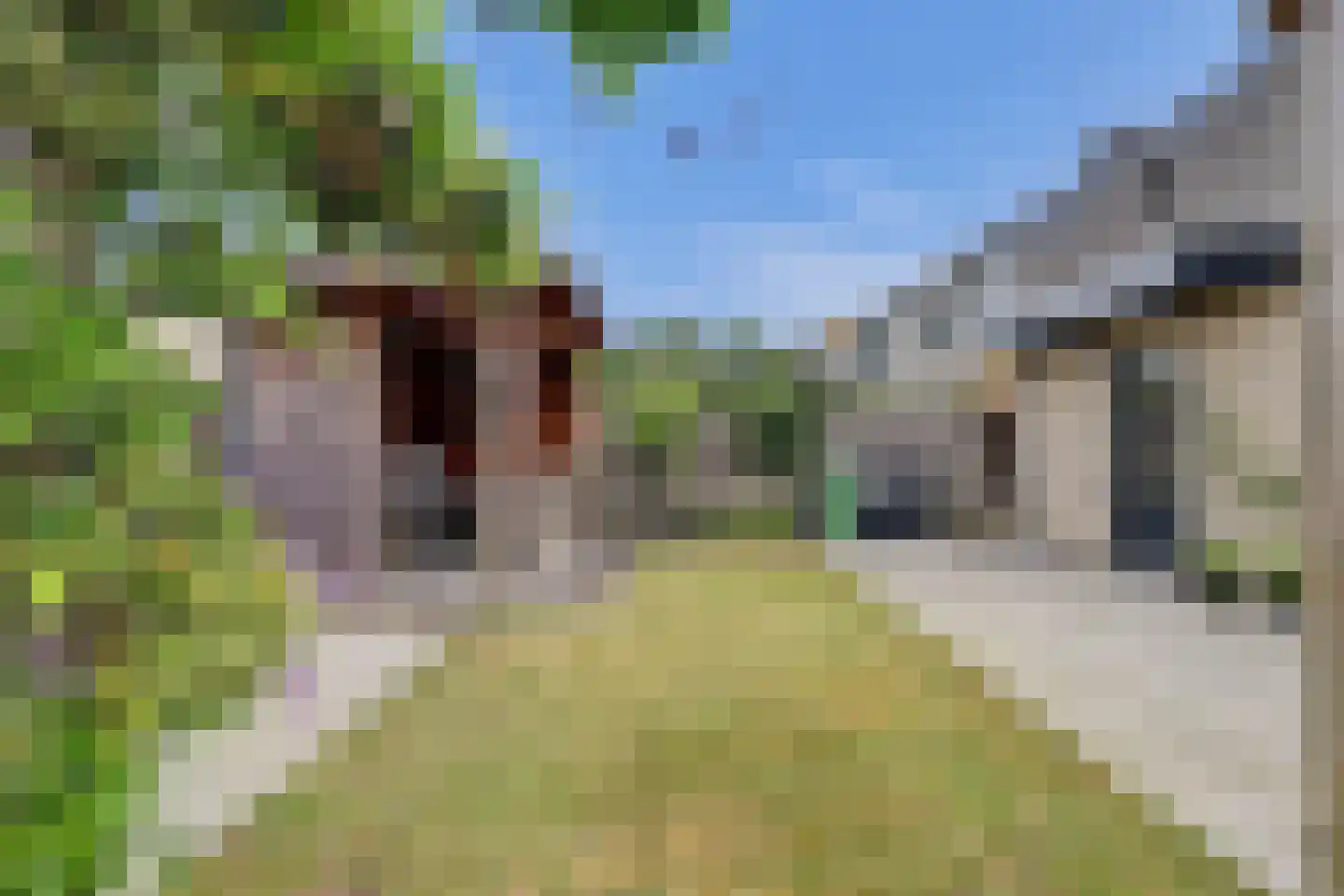 Buigeind 7 Best thumbnail 48