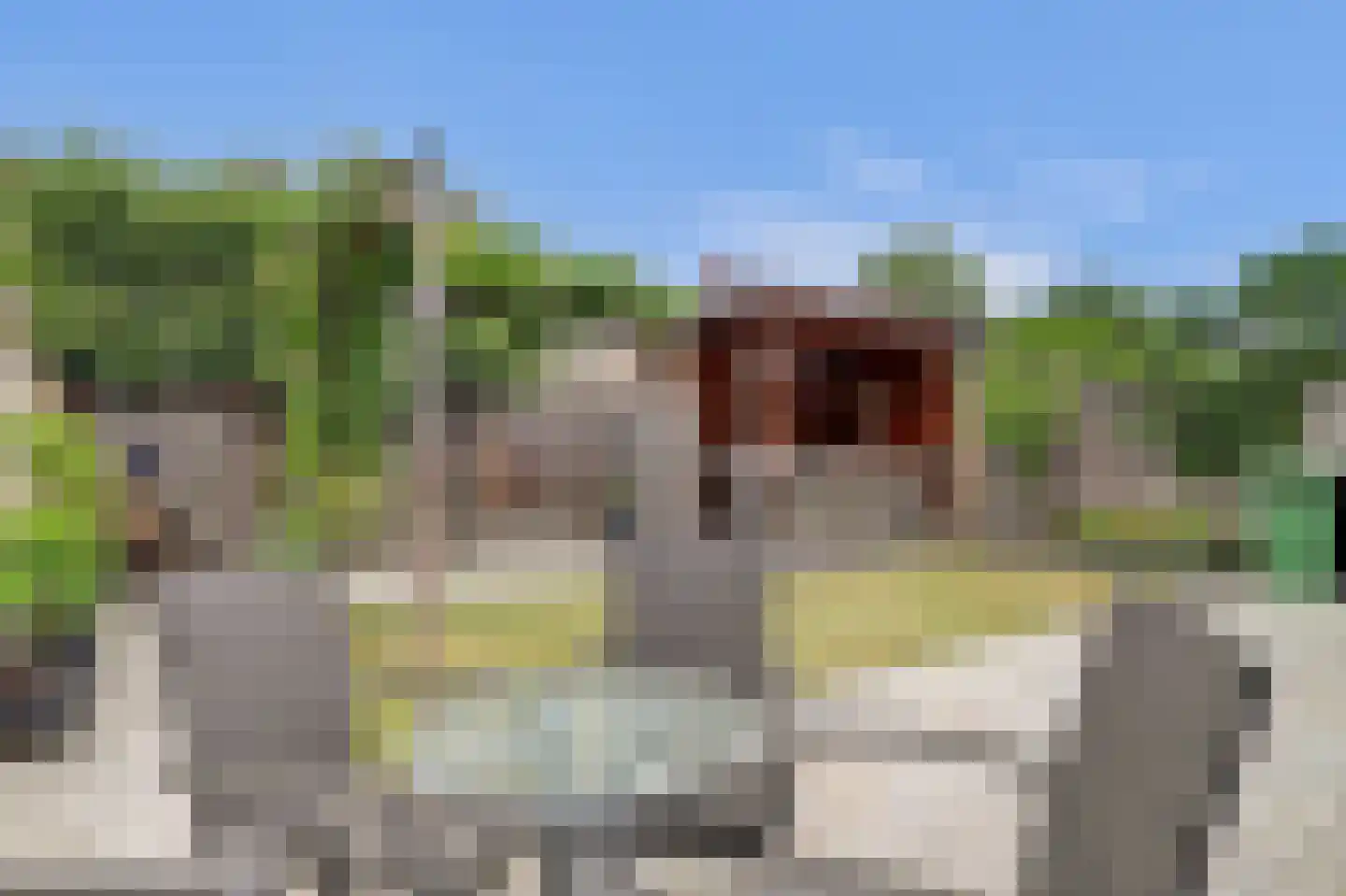 Buigeind 7 Best thumbnail 49