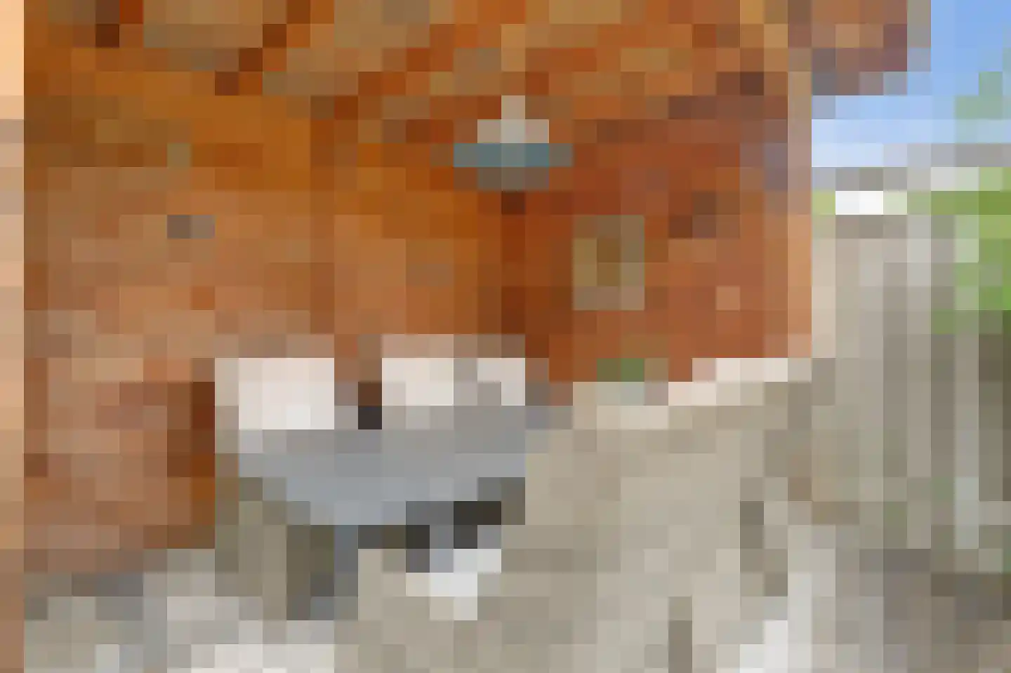 Buigeind 7 Best thumbnail 52