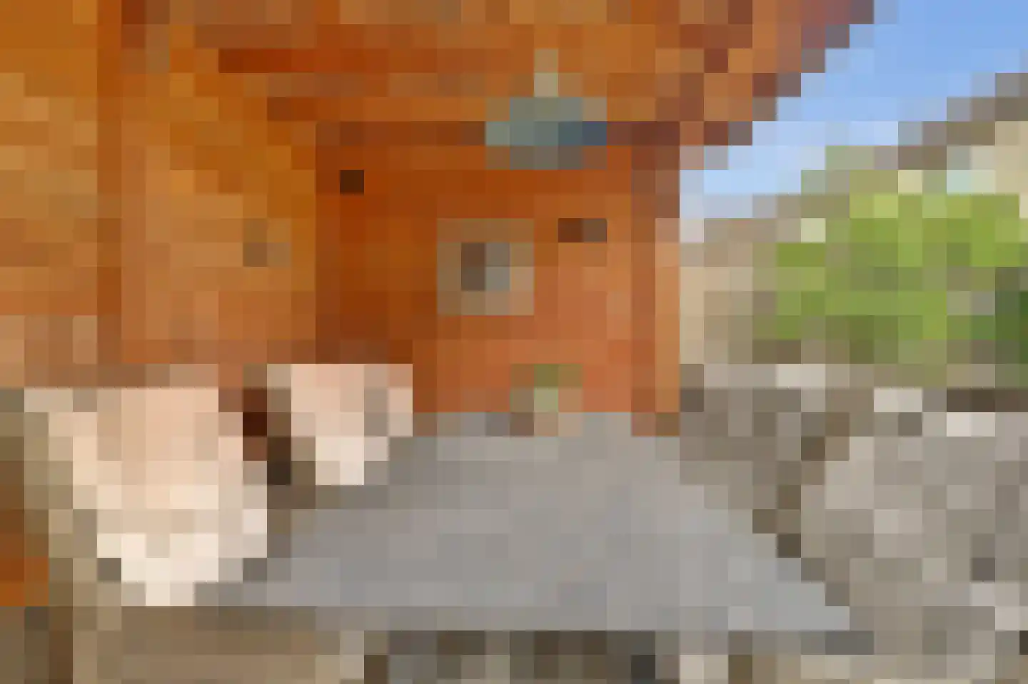 Buigeind 7 Best thumbnail 53