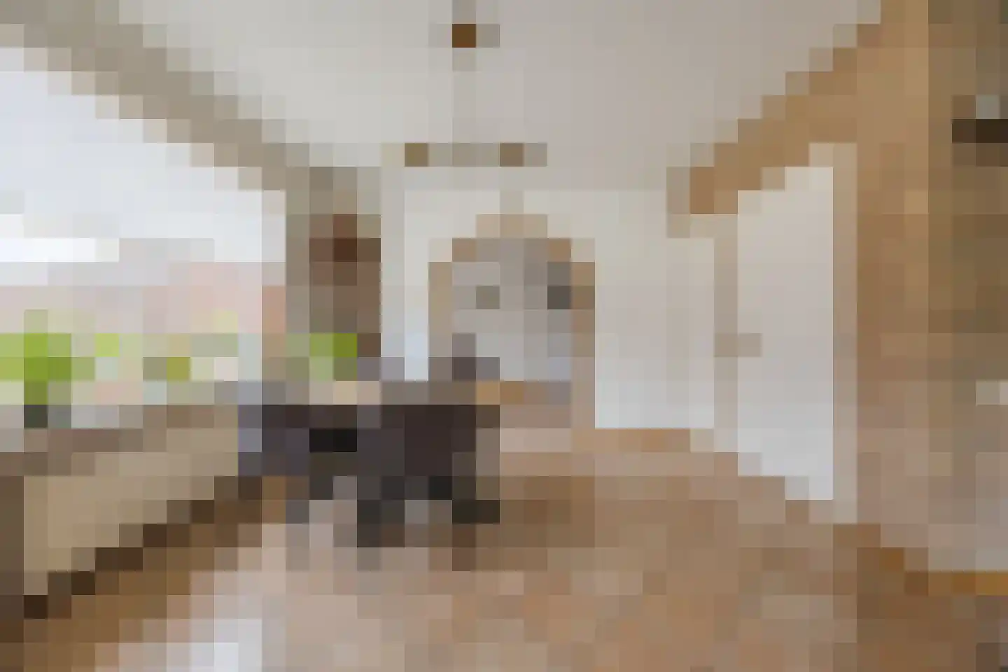 Buijenstraat 15 Roosendaal thumbnail 16