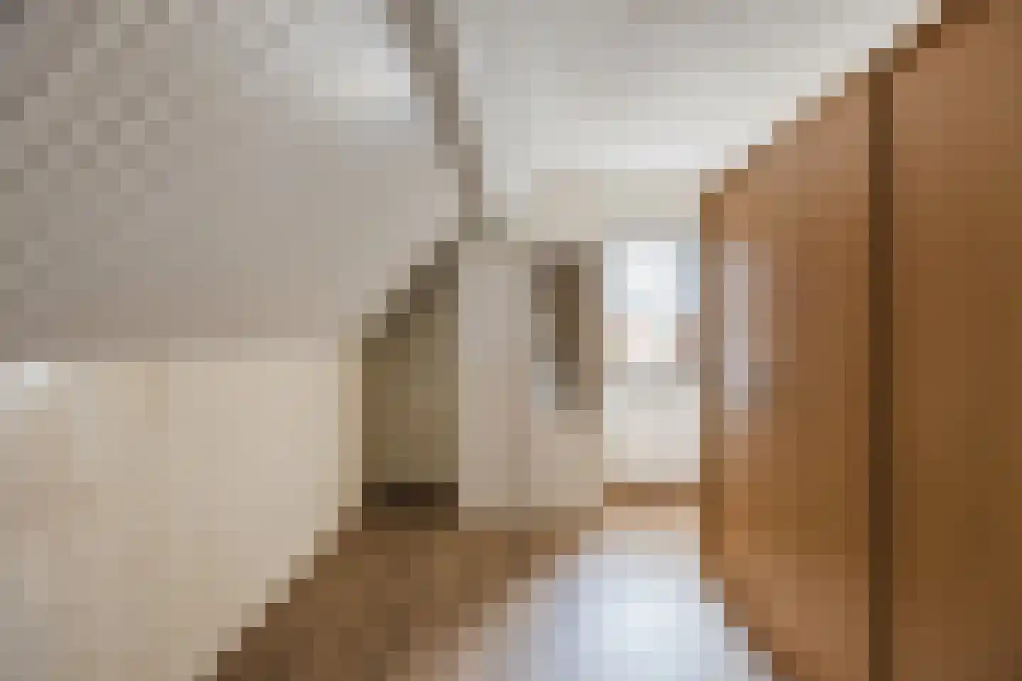Buijenstraat 15 Roosendaal thumbnail 33