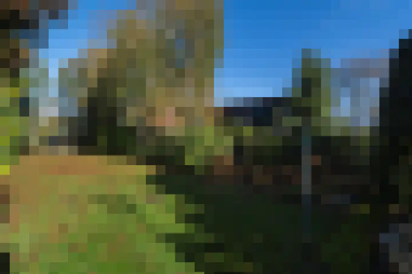 Buijenstraat 19 a Roosendaal thumbnail 32