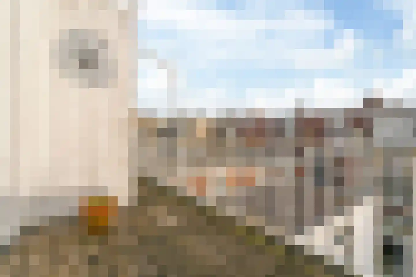 Buijs Ballotstraat 16 A Den Haag thumbnail 12