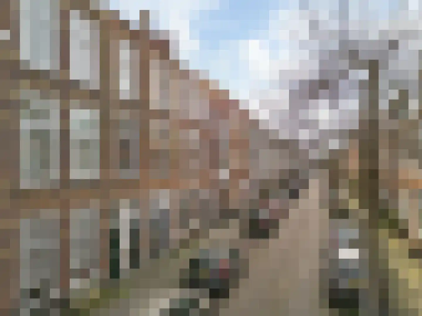 Buijs Ballotstraat 16 A Den Haag thumbnail 23