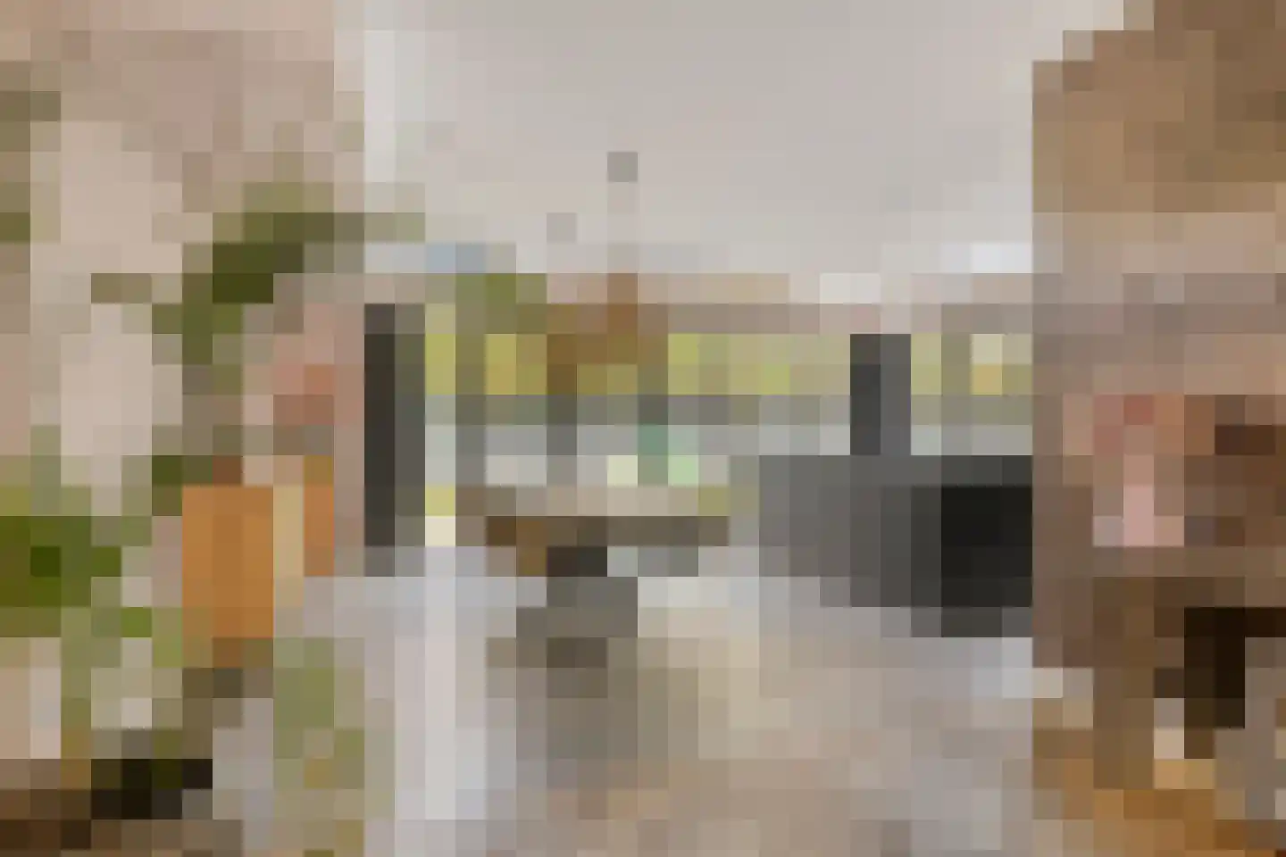 Buijs Ballotstraat 20 Amersfoort thumbnail 13