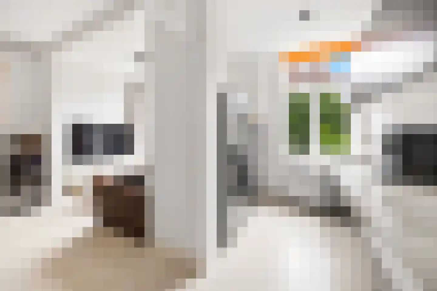Buijs Ballotstraat 62 Den Haag thumbnail 19