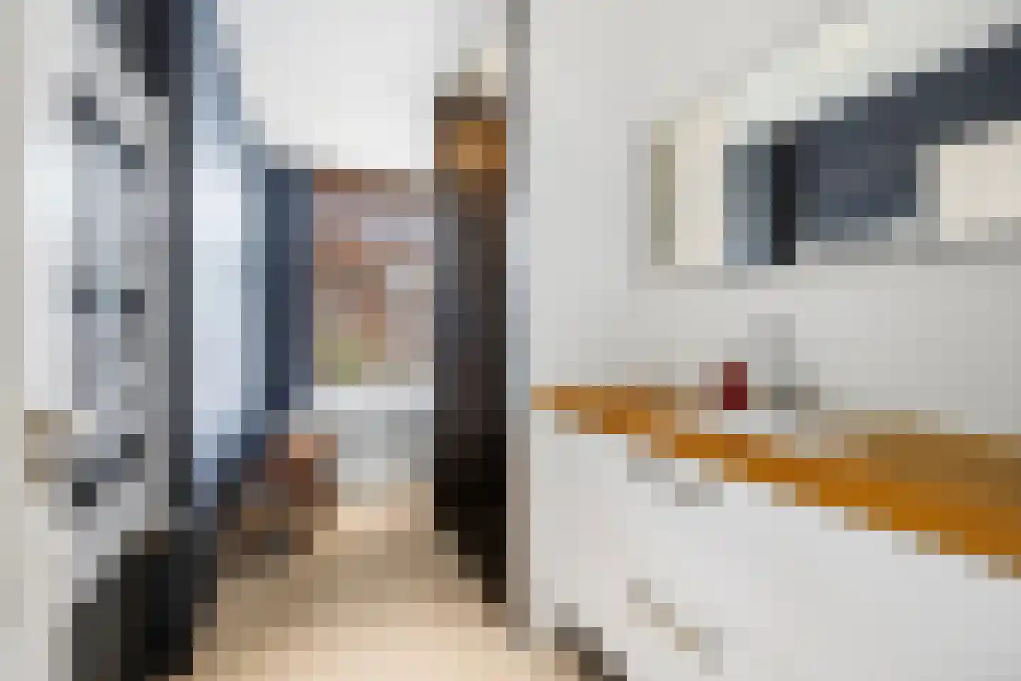 Buijs Ballotstraat 62 Den Haag thumbnail 31