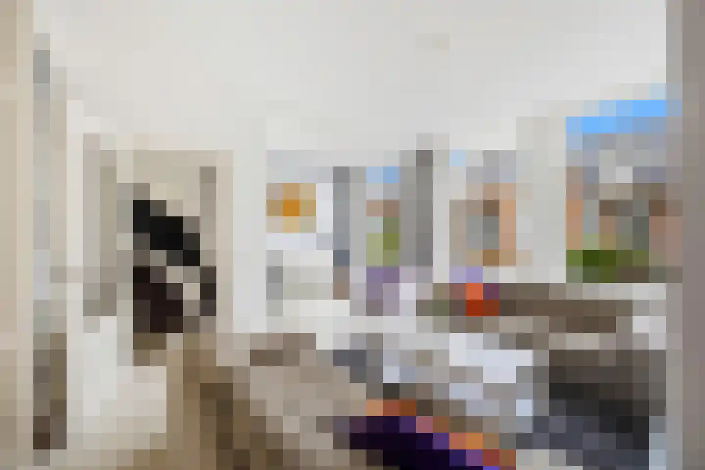 Buijs Ballotstraat 62 Den Haag thumbnail 8