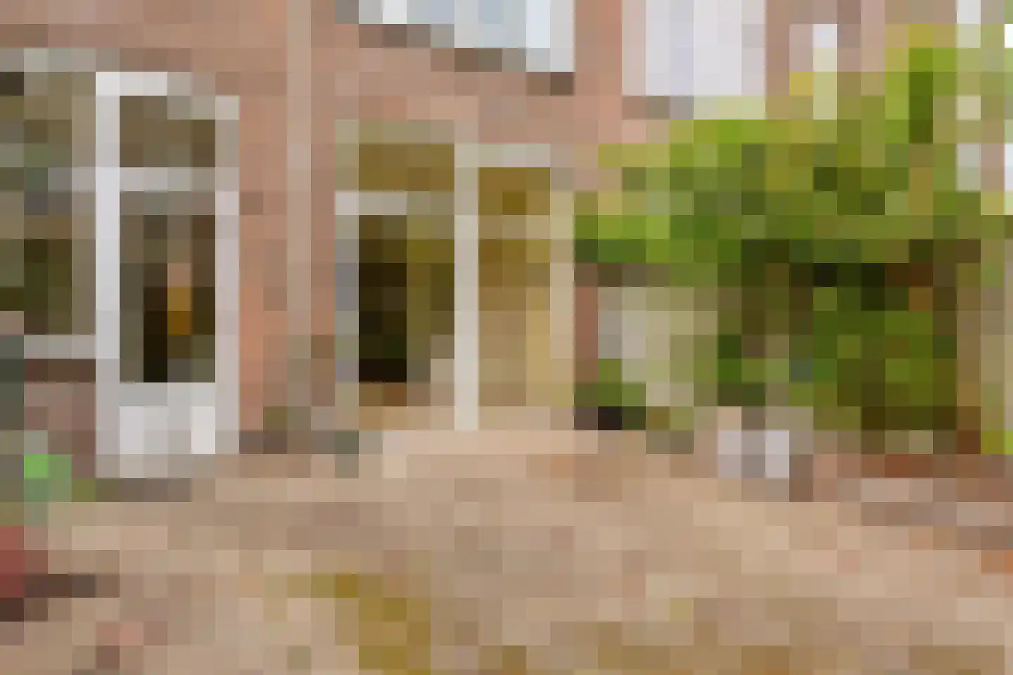 Buijs Ballotstraat 68 Den Haag thumbnail 14