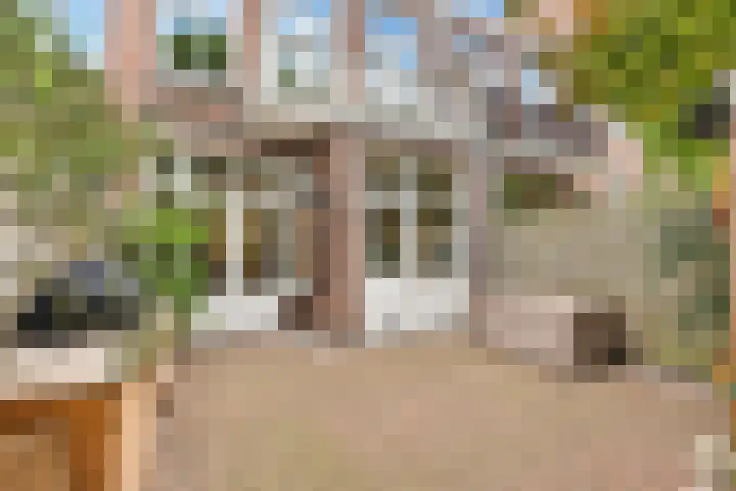 Buijs Ballotstraat 75 Den Haag thumbnail 18