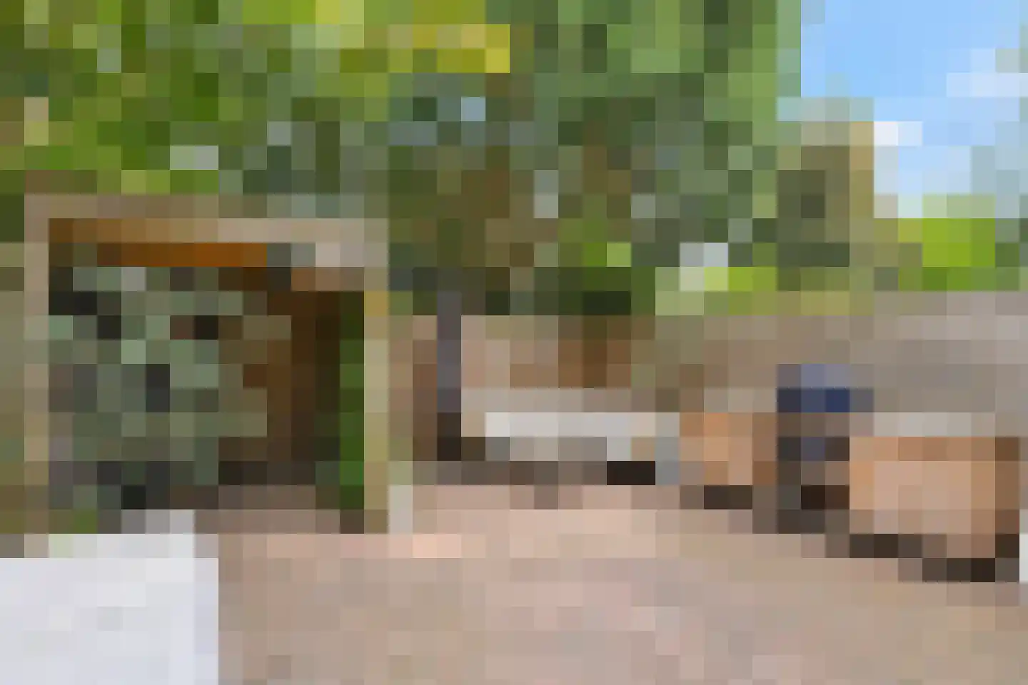 Buijs Ballotstraat 75 Den Haag thumbnail 7