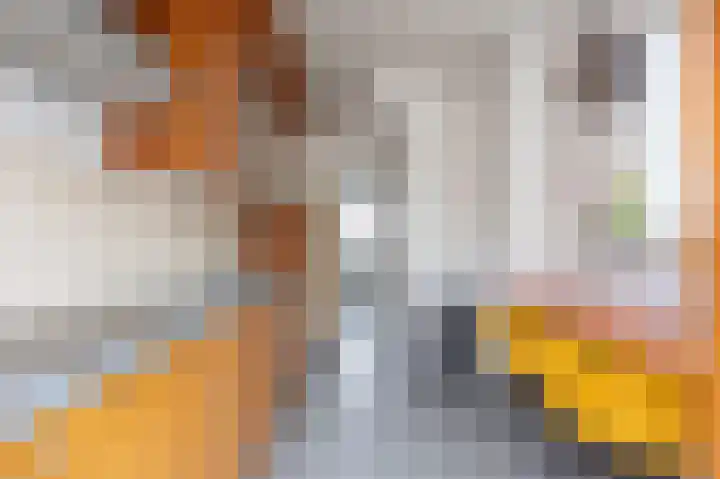 Buijsroggestraat 11 Simpelveld thumbnail 8