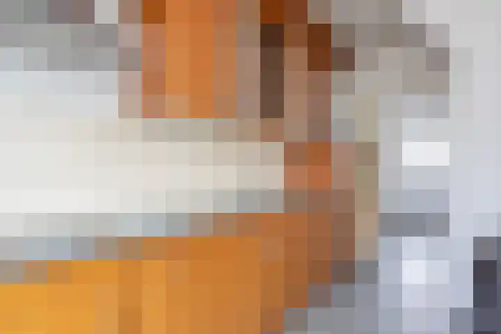 Buijsroggestraat 11 Simpelveld thumbnail 9