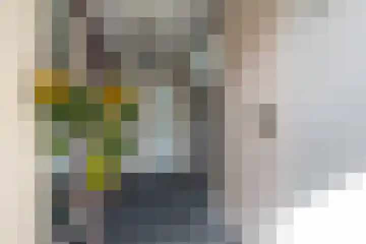 Buijsroggestraat 13 Simpelveld thumbnail 4