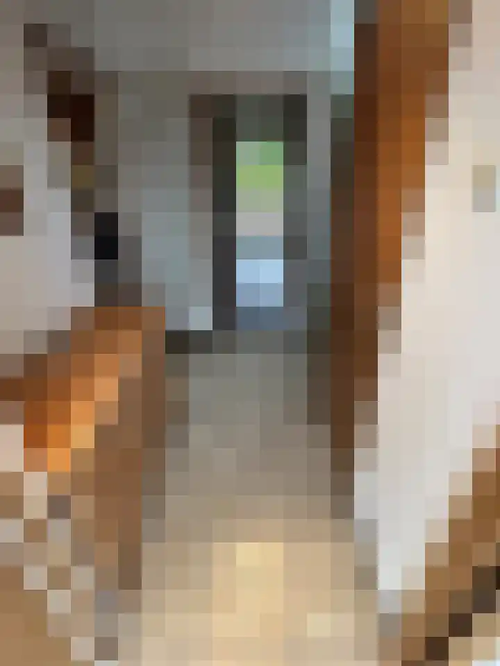 Buijsroggestraat 9 Simpelveld thumbnail 10
