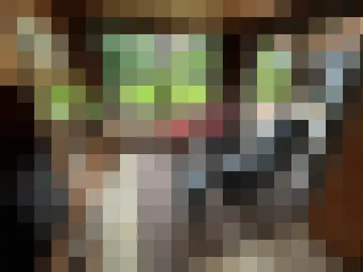 Buijsroggestraat 9 Simpelveld thumbnail 13