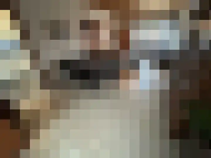 Buijsroggestraat 9 Simpelveld thumbnail 15