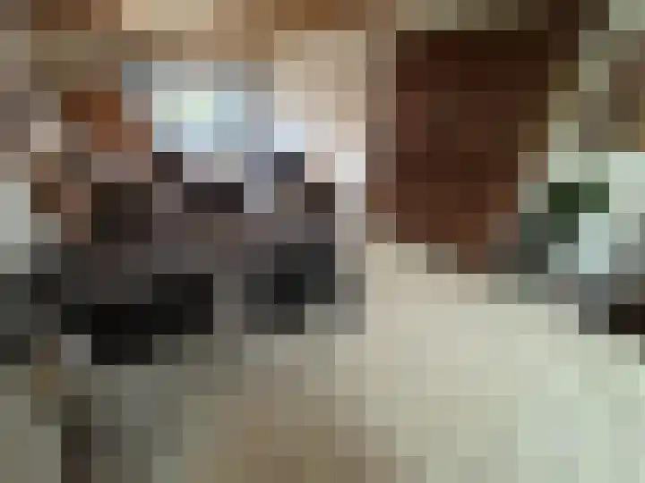 Buijsroggestraat 9 Simpelveld thumbnail 16
