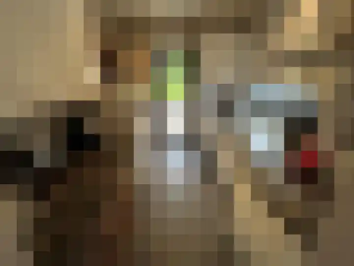 Buijsroggestraat 9 Simpelveld thumbnail 17