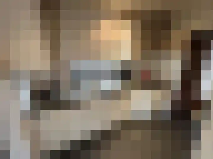 Buijsroggestraat 9 Simpelveld thumbnail 18