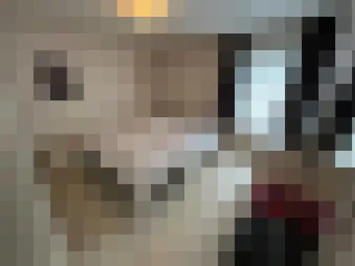 Buijsroggestraat 9 Simpelveld thumbnail 23