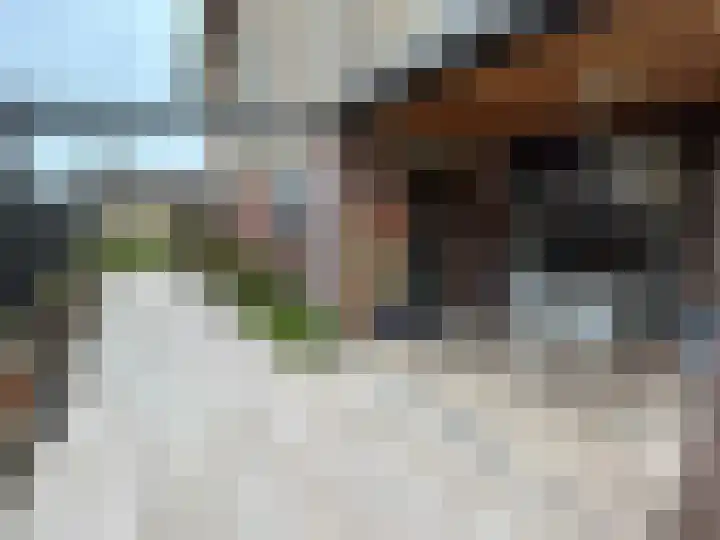 Buijsroggestraat 9 Simpelveld thumbnail 8