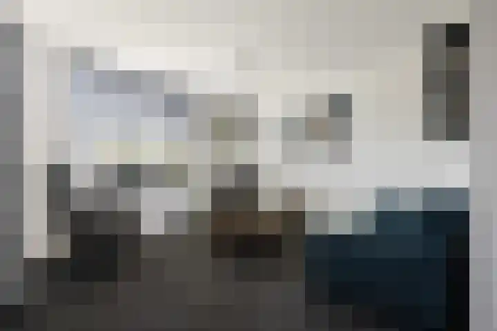 Buijsstraat 4 De Cocksdorp thumbnail 9
