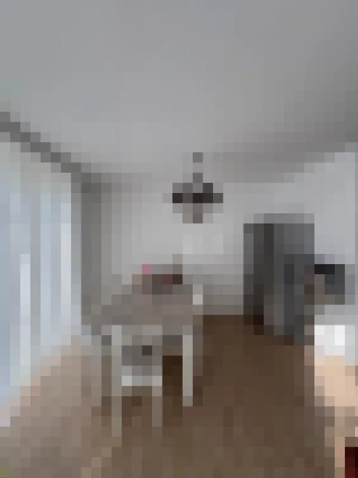 Buijtenste meerken Waalre foto 3
