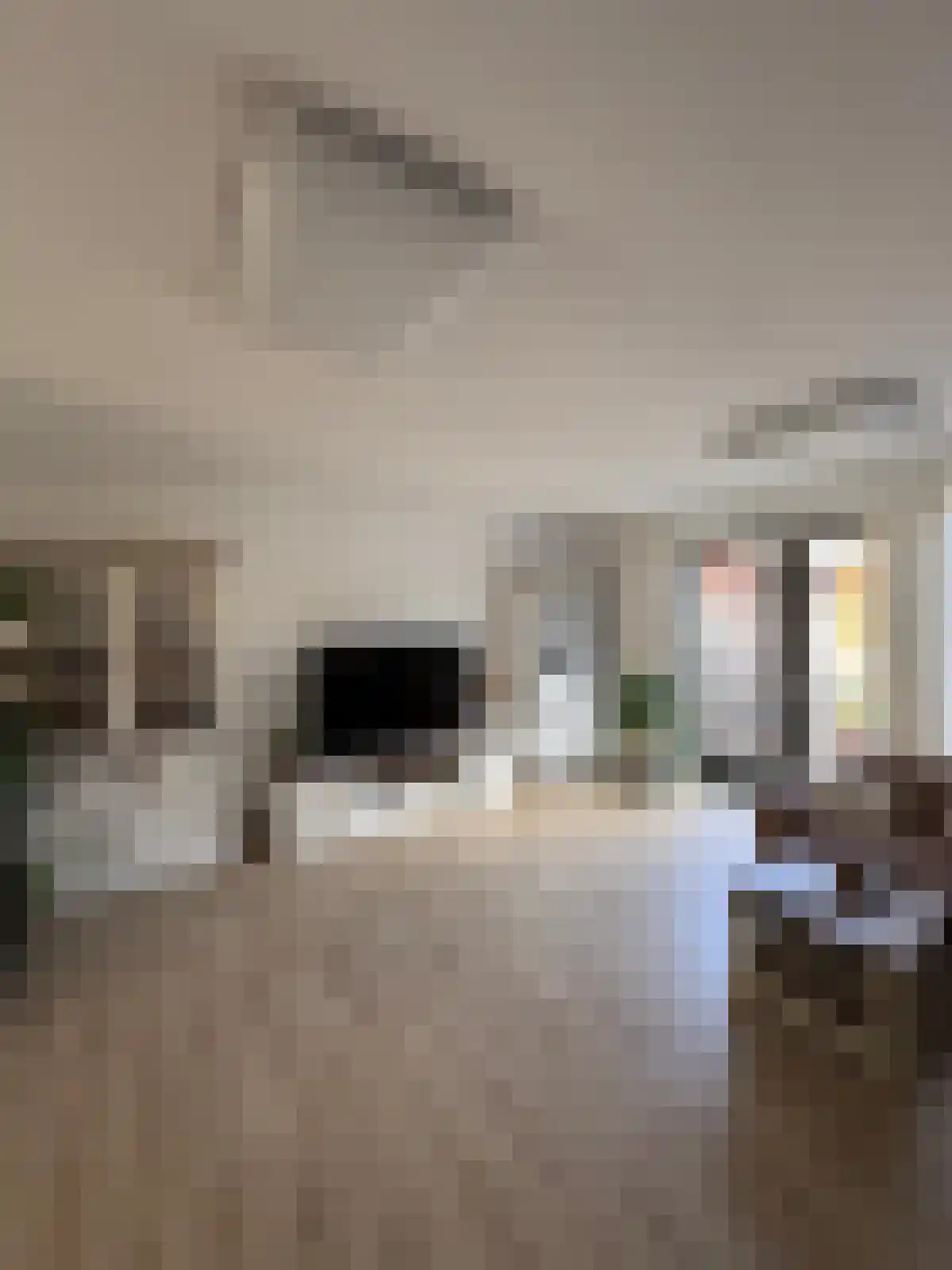Buijtenste meerken Waalre thumbnail 4