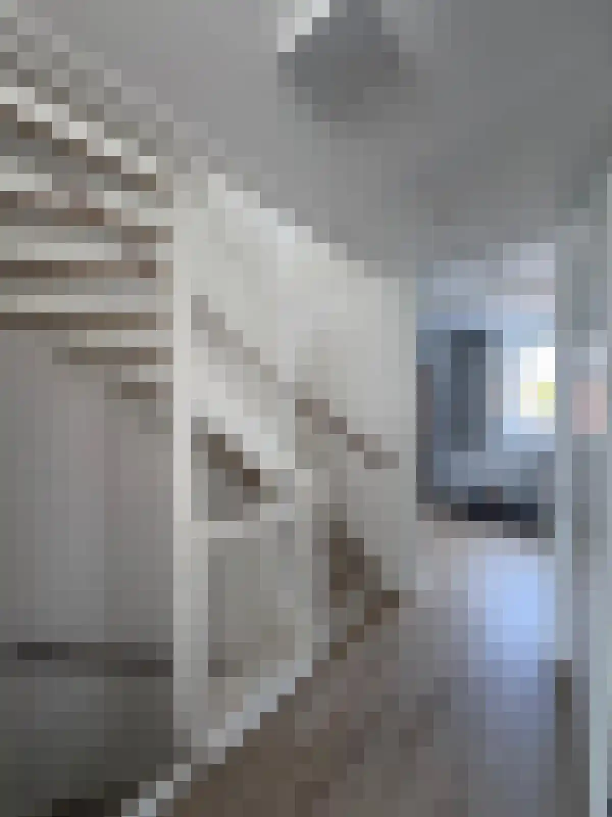 Buijtenste meerken Waalre thumbnail 6