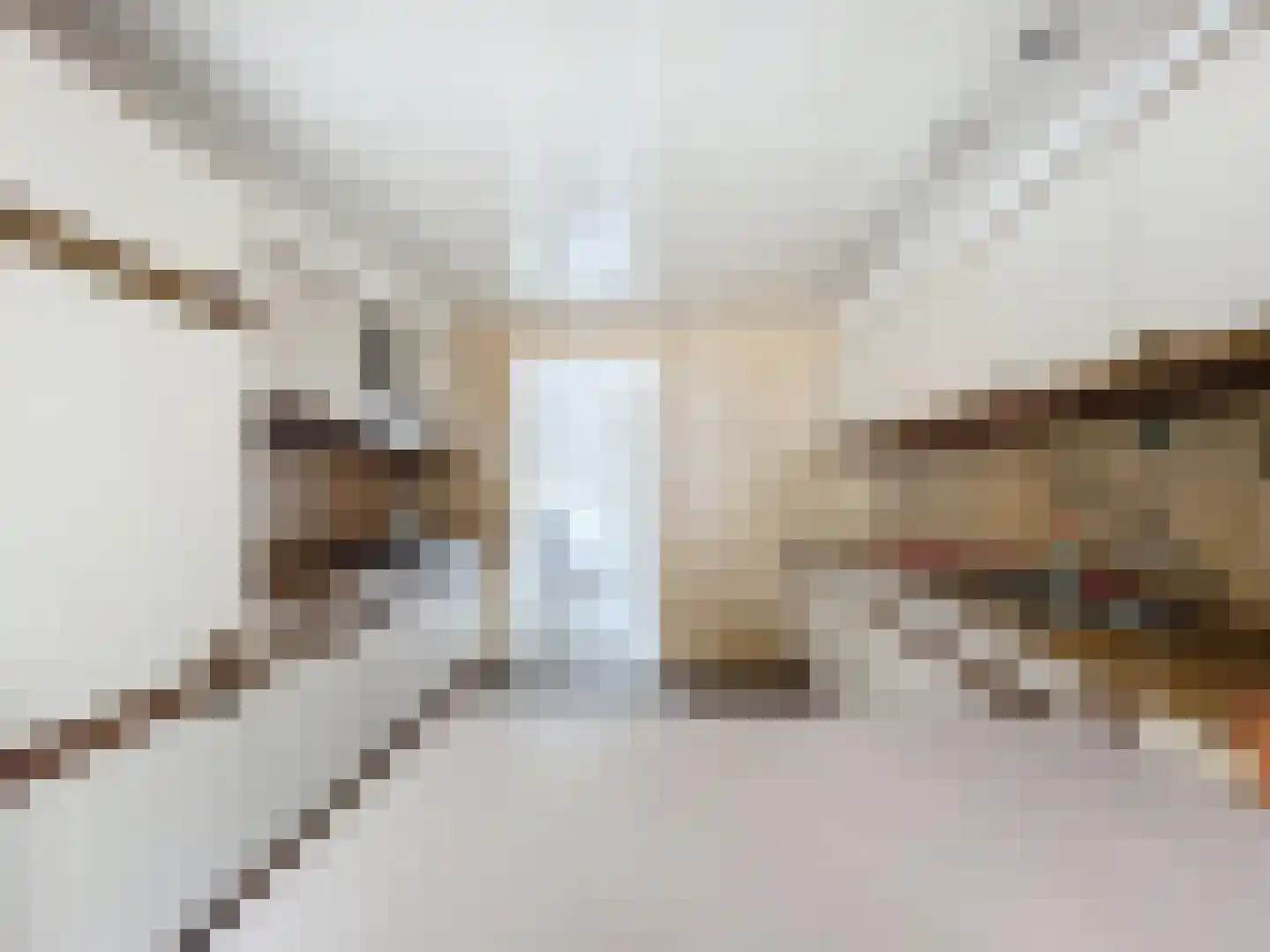 Buijzenpolderdijk 3 Breskens thumbnail 6