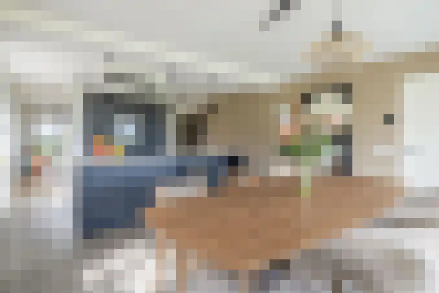 Buikheide 14 Vessem thumbnail 12