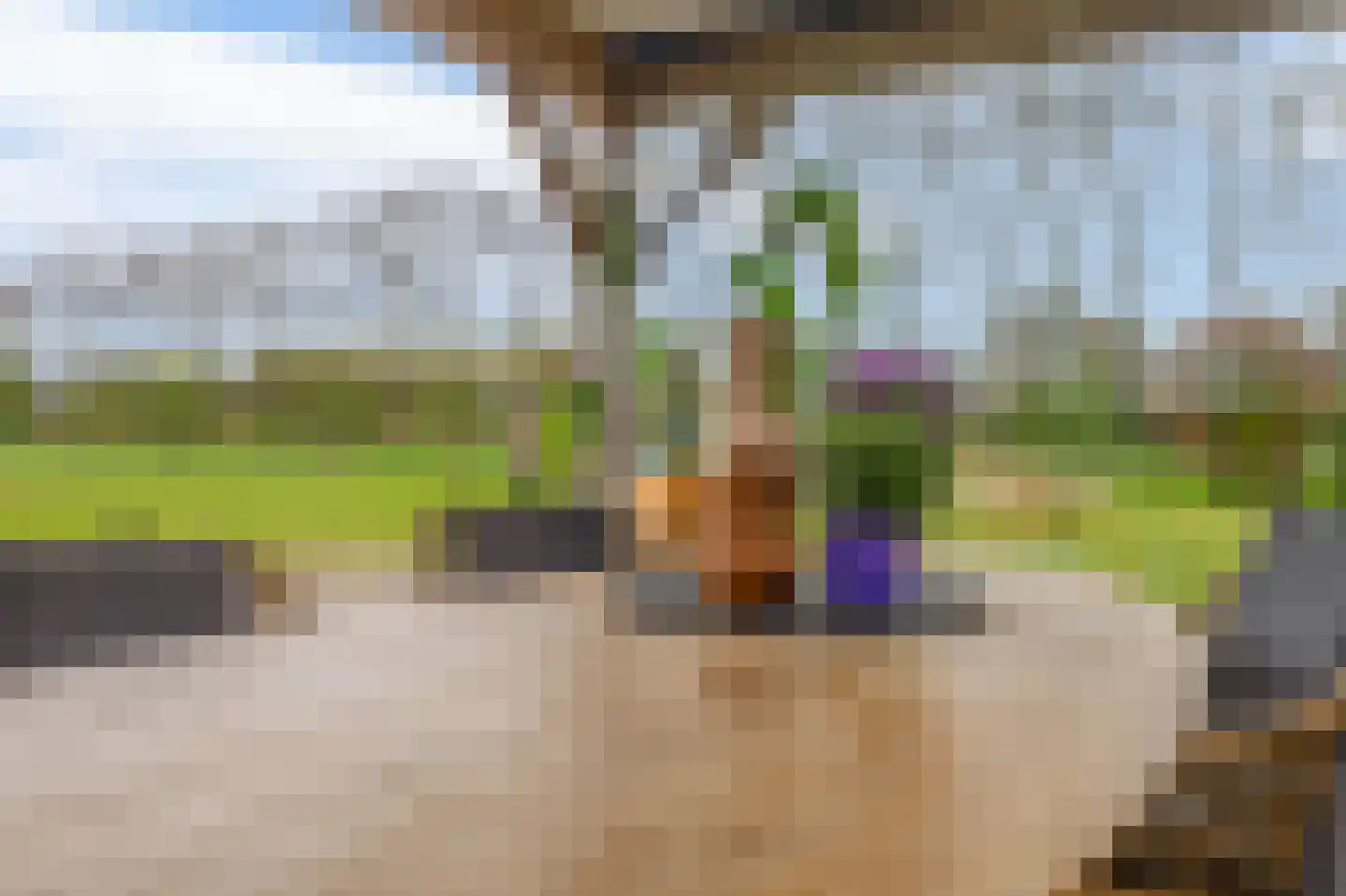 Buikheide 14 Vessem thumbnail 36