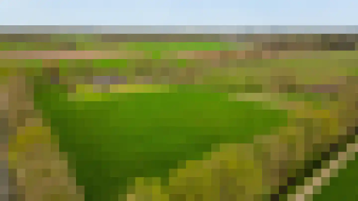 Buikheide 14 Vessem thumbnail 4