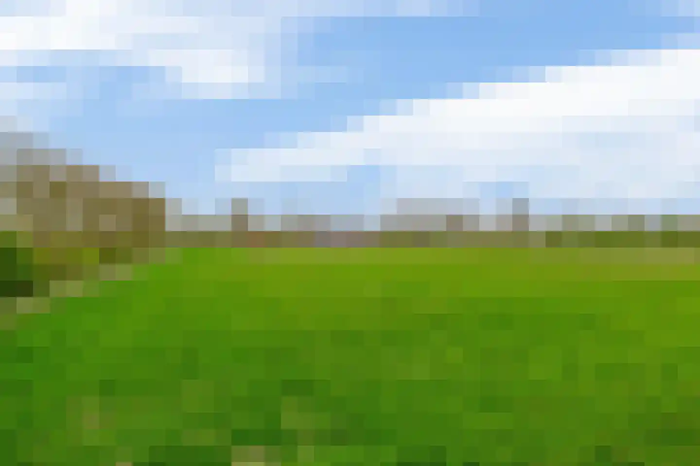 Buikheide 14 Vessem thumbnail 40