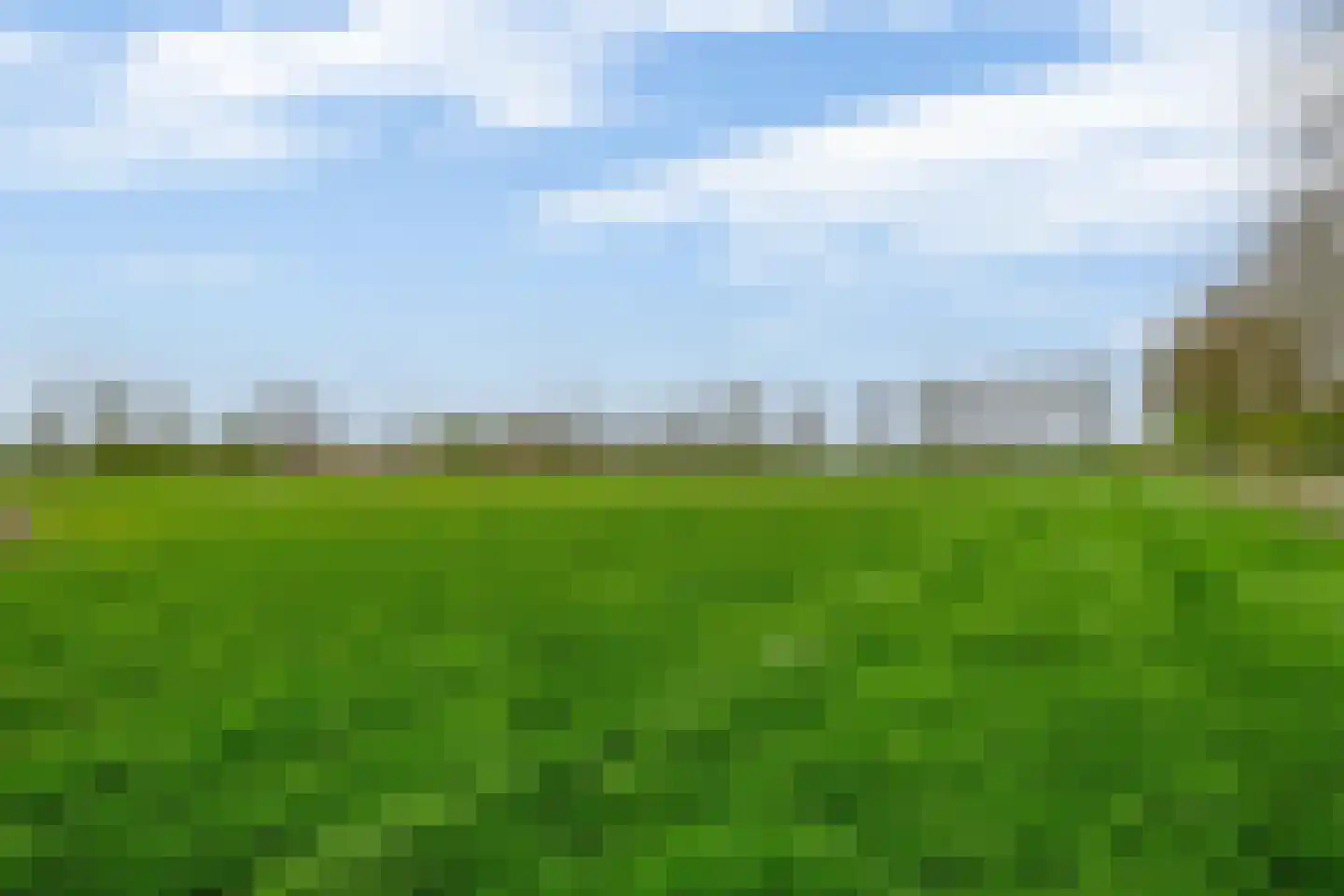 Buikheide 14 Vessem thumbnail 41