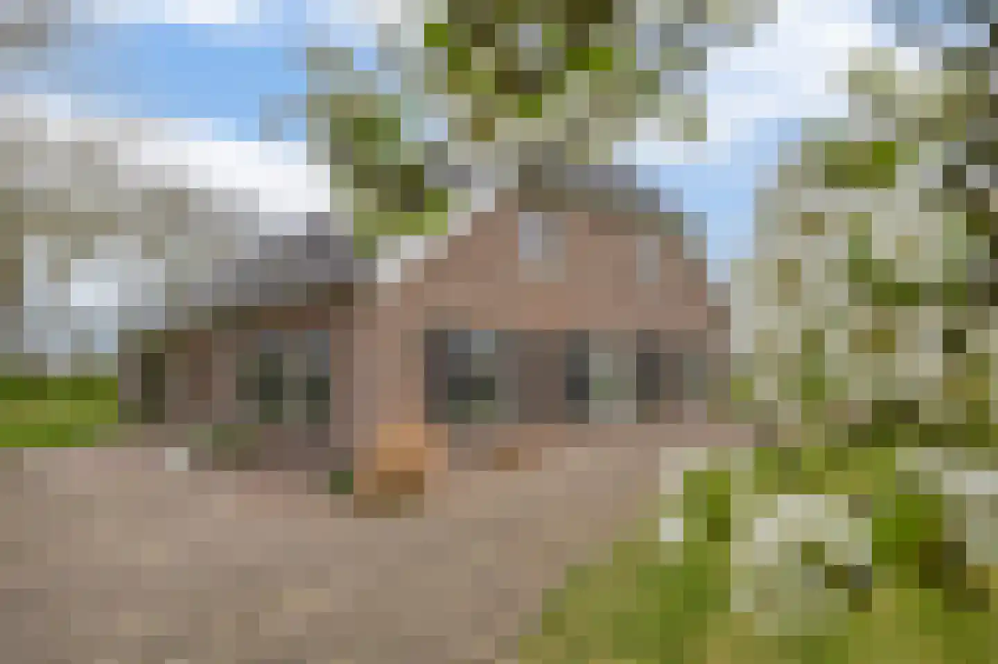 Buikheide 14 Vessem thumbnail 5