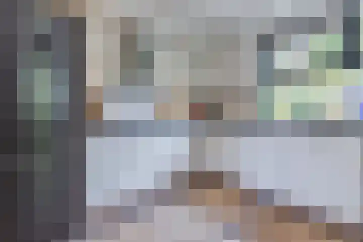 Buiksloterbreek 101 Amsterdam thumbnail 21