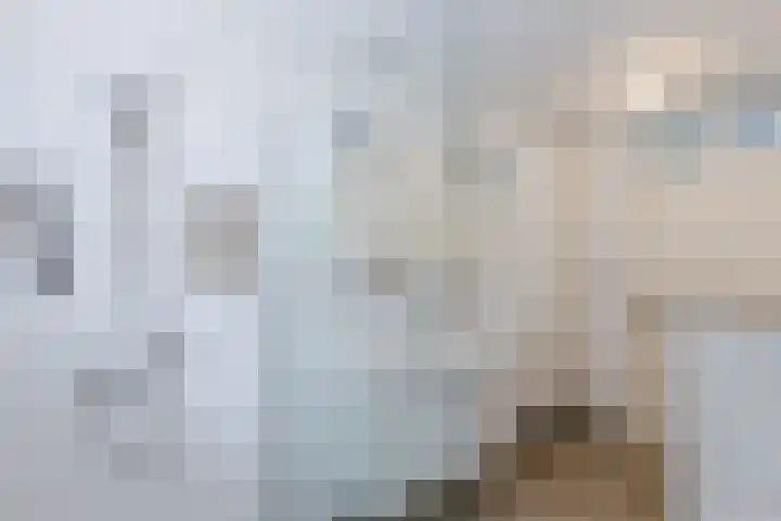 Buiksloterbreek 101 Amsterdam thumbnail 32